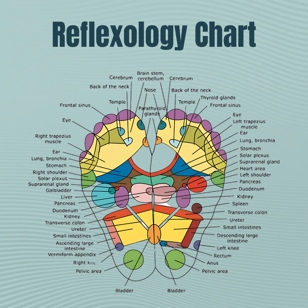 ACUPOINT Foot Acupressure Therapy Set