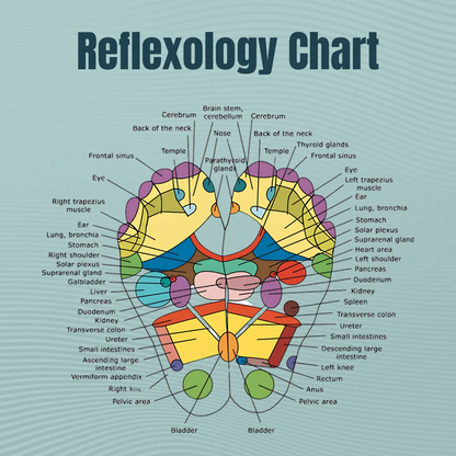 ACUPOINT Foot Acupressure Therapy Set